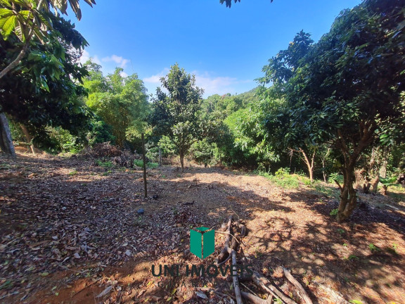 Imagem Imóvel com 3 Quartos à Venda, 2.200 m² em Tartaruga - Guarapari