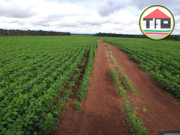 Imagem Fazenda à Venda, 21.780.000 m² em Zona Rural - Pau-d'arco Imagem Fazenda à Venda, 21.780.000 m² em Zona Rural - Pau-d'arco