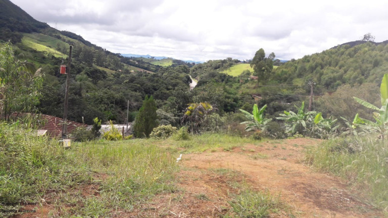 Imagem Imóvel com 3 Quartos à Venda, 140 m² em Laranjeiras De Caldas - Caldas Imagem Imóvel com 3 Quartos à Venda, 140 m² em Laranjeiras De Caldas - Caldas