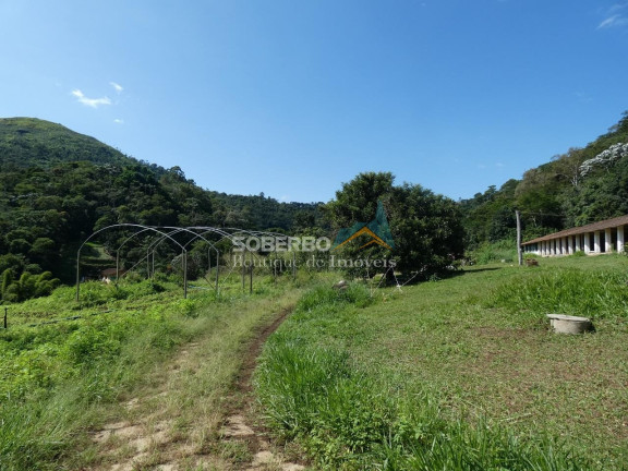 Imagem Imóvel com 3 Quartos para Alugar, 72.000 m² em Granja Mafra - Teresópolis Imagem Imóvel com 3 Quartos para Alugar, 72.000 m² em Granja Mafra - Teresópolis