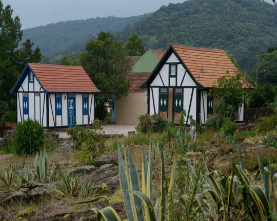 Imagem Imóvel com 1 Quarto à Venda, 9.000 m² em Linha Brasil - Nova Petrópolis Imagem Imóvel com 1 Quarto à Venda, 9.000 m² em Linha Brasil - Nova Petrópolis
