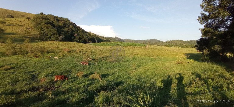 Imagem Fazenda à Venda, 1.010.000 m² em Jardim São Dimas - São José Dos Campos