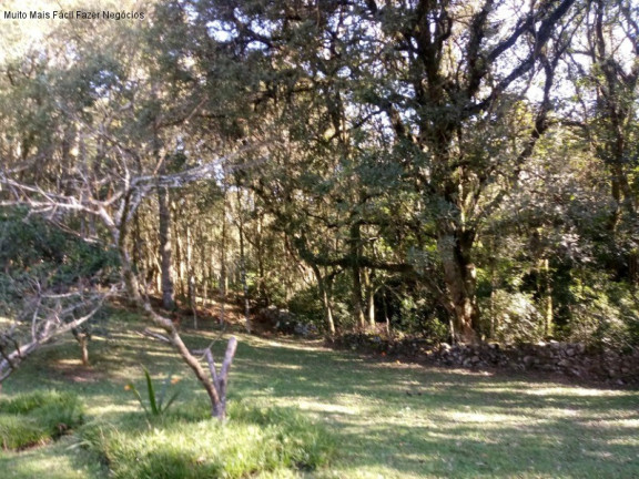 Imagem Casa com 3 Quartos à Venda, 296 m² em Vale Verde - Nova Petrópolis Imagem Casa com 3 Quartos à Venda, 296 m² em Vale Verde - Nova Petrópolis