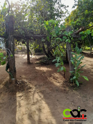 Imagem Imóvel com 3 Quartos à Venda, 24.000 m² em área Rural De Varginha - Varginha
