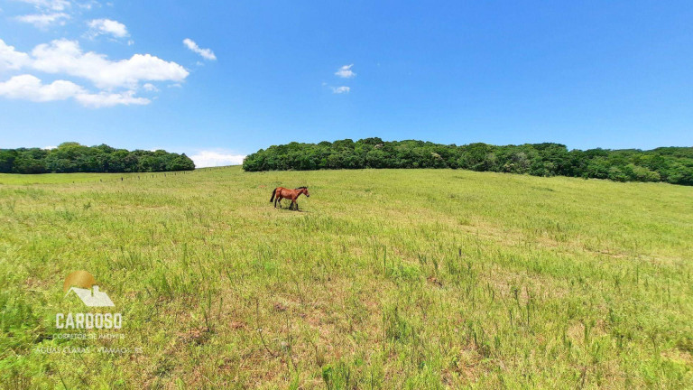 Imagem Fazenda à Venda, 980.000 m² em Centro - Viamão Imagem Fazenda à Venda, 980.000 m² em Centro - Viamão
