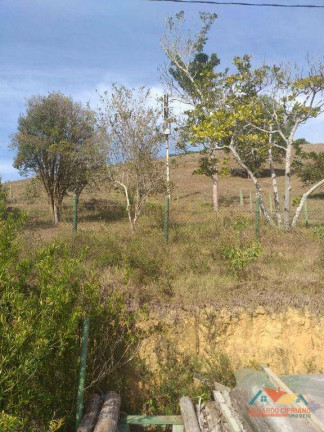 Imagem Fazenda à Venda, 1 m² em Capim Da Angola - Paraibuna