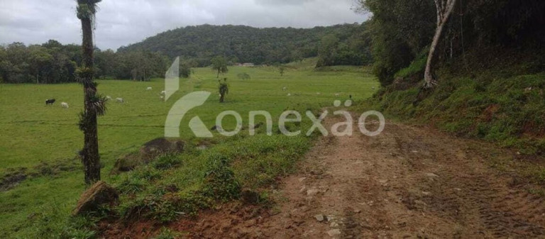 Imagem Fazenda à Venda, 90 m² em Braço Grande - Miracatu Imagem Fazenda à Venda, 90 m² em Braço Grande - Miracatu