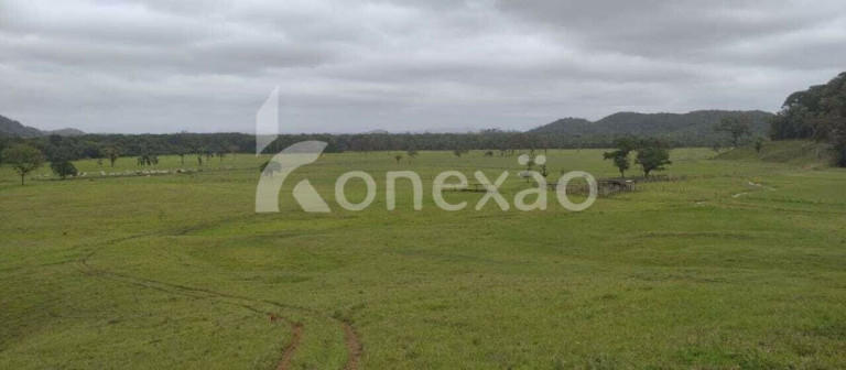 Imagem Fazenda à Venda, 90 m² em Braço Grande - Miracatu Imagem Fazenda à Venda, 90 m² em Braço Grande - Miracatu