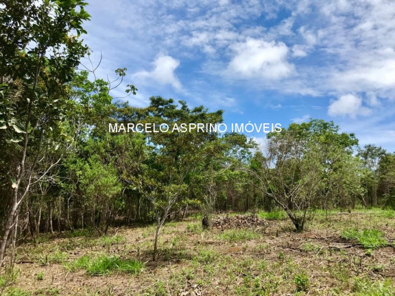 Imagem Imóvel à Venda, 1.000 m² em Jeribucaçu - Itacaré Imagem Imóvel à Venda, 1.000 m² em Jeribucaçu - Itacaré