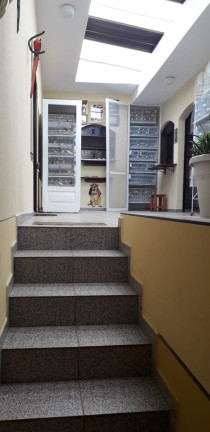 Imagem Sobrado com 3 Quartos à Venda, 230 m² em Vila Ré - São Paulo Imagem Sobrado com 3 Quartos à Venda, 230 m² em Vila Ré - São Paulo