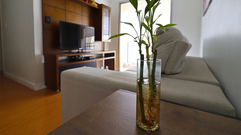 Imagem Apartamento com 2 Quartos à Venda, 56 m² em Vila Guilherme - São Paulo Imagem Apartamento com 2 Quartos à Venda, 56 m² em Vila Guilherme - São Paulo