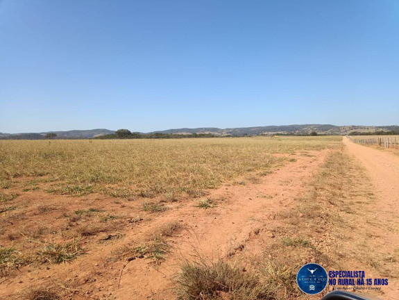 Imagem Fazenda à Venda, 105 m² em Zona Rural - Fazenda Nova Imagem Fazenda à Venda, 105 m² em Zona Rural - Fazenda Nova