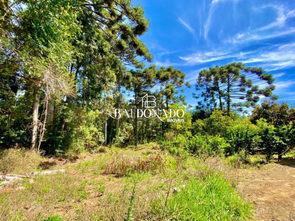 Imagem Fazenda à Venda, 130 m² em Centro - Munhoz Imagem Fazenda à Venda, 130 m² em Centro - Munhoz