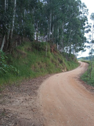 Imagem Chácara com 4 Quartos à Venda, 300 m² em Centro - Paraibuna Imagem Chácara com 4 Quartos à Venda, 300 m² em Centro - Paraibuna