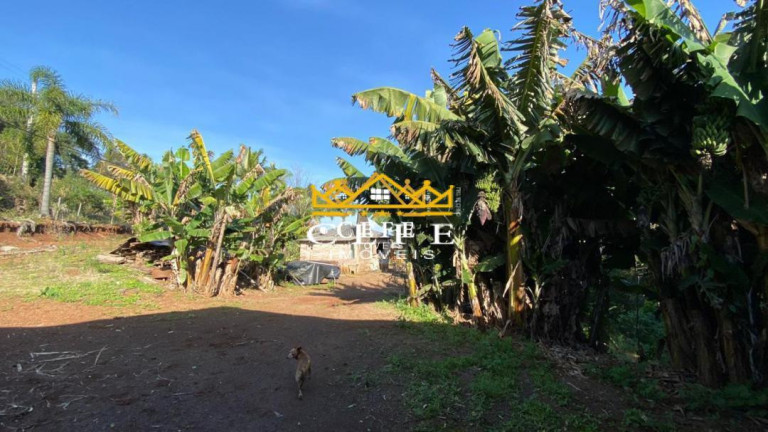 Imagem Sala Comercial à Venda, 20 m² em Zona Rural - Três Coroas Imagem Sala Comercial à Venda, 20 m² em Zona Rural - Três Coroas