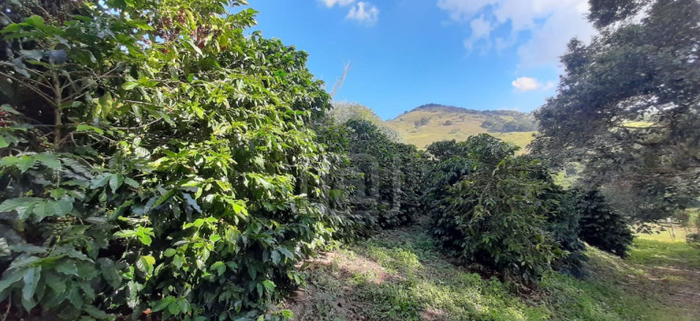 Imagem Imóvel à Venda, 3 m² em Milho Verde - Bandeira Do Sul Imagem Imóvel à Venda, 3 m² em Milho Verde - Bandeira Do Sul