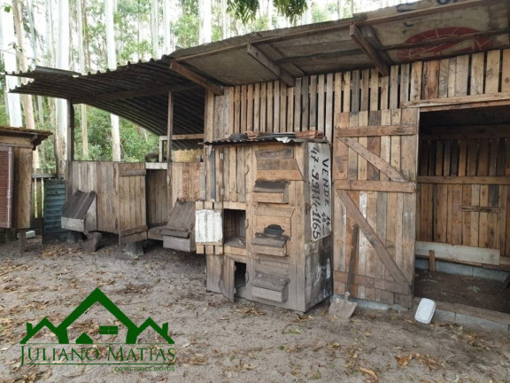 Imagem Chácara com 3 Quartos à Venda, 108 m² em Pinheiros - Balneário Barra Do Sul Imagem Chácara com 3 Quartos à Venda, 108 m² em Pinheiros - Balneário Barra Do Sul