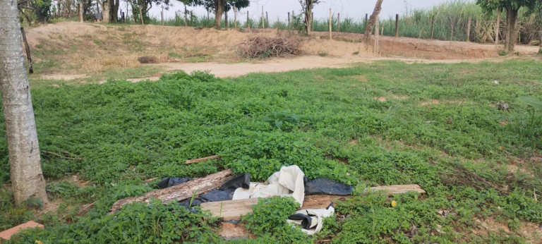 Imagem Chácara à Venda, 1.800 m² em Canguera - Capela Do Alto Imagem Chácara à Venda, 1.800 m² em Canguera - Capela Do Alto
