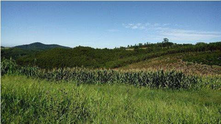 Imagem Terreno à Venda, 489 m² em Centro - Pedra Bela Imagem Terreno à Venda, 489 m² em Centro - Pedra Bela