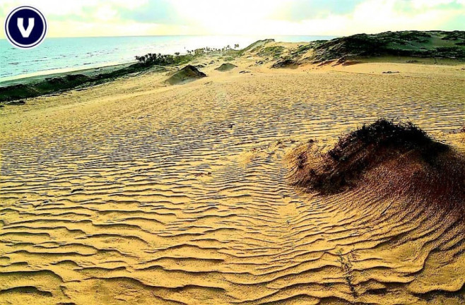 Imagem Terreno à Venda, 10 m² em Praia Da Baleia - Itapipoca Imagem Terreno à Venda, 10 m² em Praia Da Baleia - Itapipoca