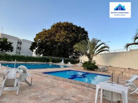 Imagem Apartamento com 2 Quartos à Venda, 56 m² em Jardim Miranda - Campinas Imagem Apartamento com 2 Quartos à Venda, 56 m² em Jardim Miranda - Campinas