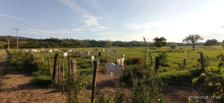 Imagem Fazenda à Venda, 1.010.000 m² em Jardim São Dimas - São José Dos Campos