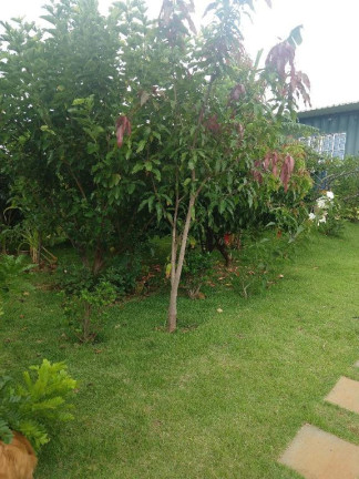 Imagem Chácara com 3 Quartos à Venda, 1.000 m² em Loteamento Chácaras Gargantilhas - Campinas Imagem Chácara com 3 Quartos à Venda, 1.000 m² em Loteamento Chácaras Gargantilhas - Campinas