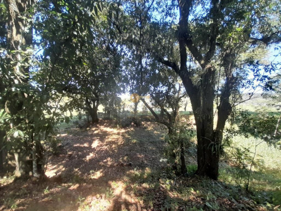 Imagem Terreno à Venda, em Cotia - Guapimirim Imagem Terreno à Venda, em Cotia - Guapimirim