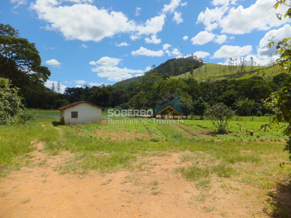 Imagem Imóvel com 4 Quartos à Venda, 1.016.400 m² em Providência - Teresópolis Imagem Imóvel com 4 Quartos à Venda, 1.016.400 m² em Providência - Teresópolis