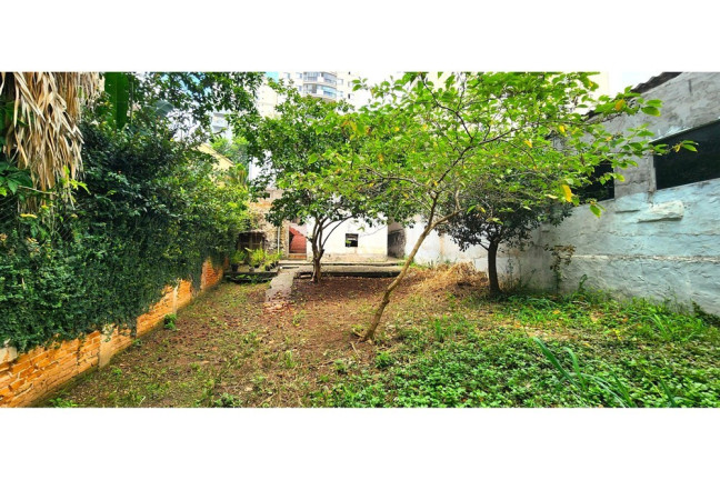 Imagem Casa com 2 Quartos à Venda, 300 m² em Chácara Inglesa - São Paulo Imagem Casa com 2 Quartos à Venda, 300 m² em Chácara Inglesa - São Paulo