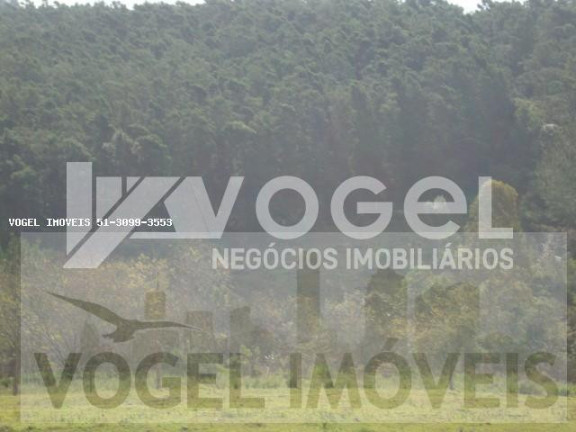 Imagem Imóvel à Venda, 13.000 m² em Morungava - Gravatai Imagem Imóvel à Venda, 13.000 m² em Morungava - Gravatai