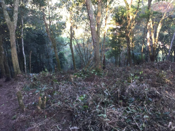 Imagem Terreno à Venda, 1.327 m² em Pilar Velho - Ribeirão Pires