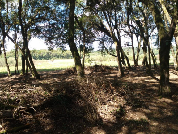 Imagem Terreno à Venda, 20.000 m² em Campo Largo Da Roseira - São José Dos Pinhais Imagem Terreno à Venda, 20.000 m² em Campo Largo Da Roseira - São José Dos Pinhais