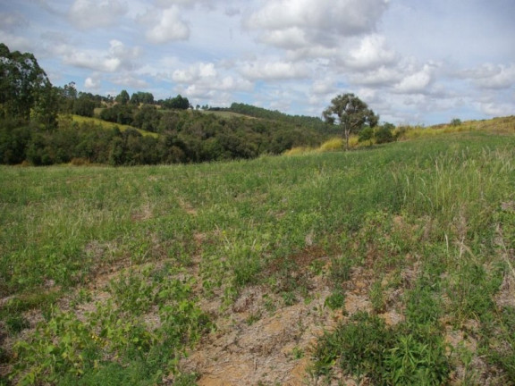 Imagem Imóvel à Venda, 435.600 m² em Zona Rural - Jacui