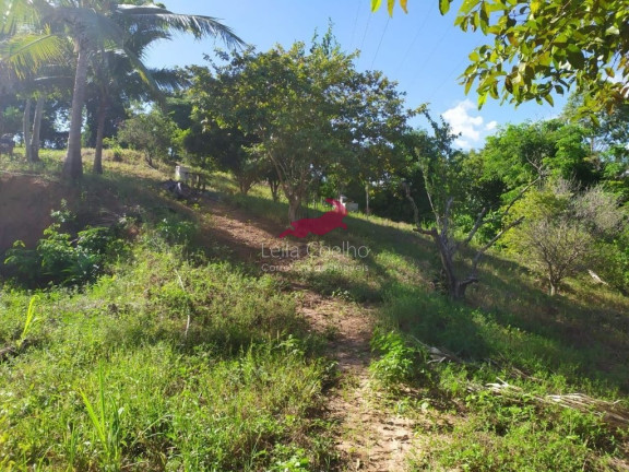 Imagem Chácara com 1 Quarto à Venda, 2.335 m² em São Caetano - Italva Imagem Chácara com 1 Quarto à Venda, 2.335 m² em São Caetano - Italva