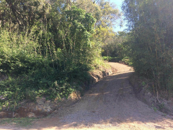 Imagem Terreno à Venda, 61.000 m² em Ambrósio - Garopaba Imagem Terreno à Venda, 61.000 m² em Ambrósio - Garopaba