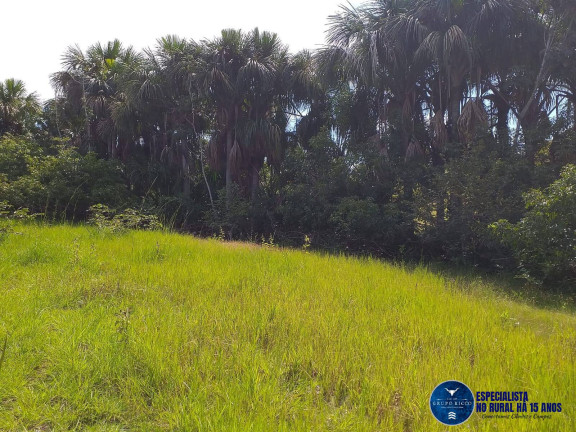 Imagem Fazenda à Venda, 44 m² em Zona Rural - Matrinchã Imagem Fazenda à Venda, 44 m² em Zona Rural - Matrinchã