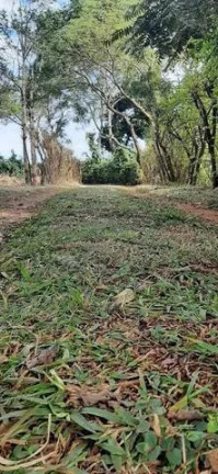 Imagem Chácara com 3 Quartos à Venda, 31.000 m² em Centro - Tamarana Imagem Chácara com 3 Quartos à Venda, 31.000 m² em Centro - Tamarana