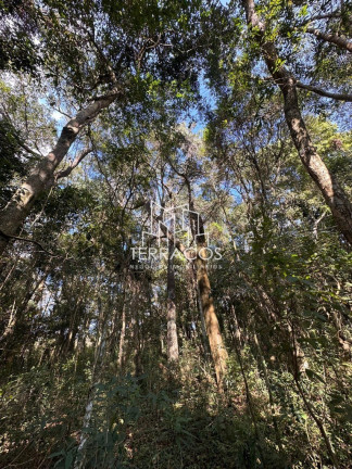 Imagem Terreno à Venda, 20.000 m² em Bairro Cachoeira - Bueno Brandão Imagem Terreno à Venda, 20.000 m² em Bairro Cachoeira - Bueno Brandão