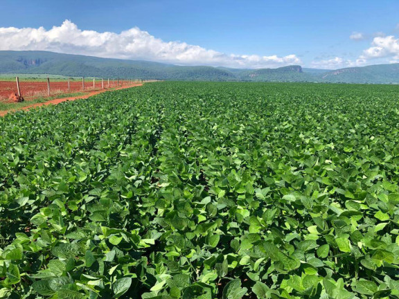 Fazenda à Venda, 15.000 m² em Mato Grosso
