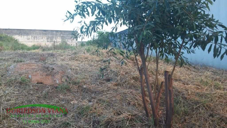 Imagem Terreno à Venda, 553 m² em Vila Rosália - Guarulhos Imagem Terreno à Venda, 553 m² em Vila Rosália - Guarulhos