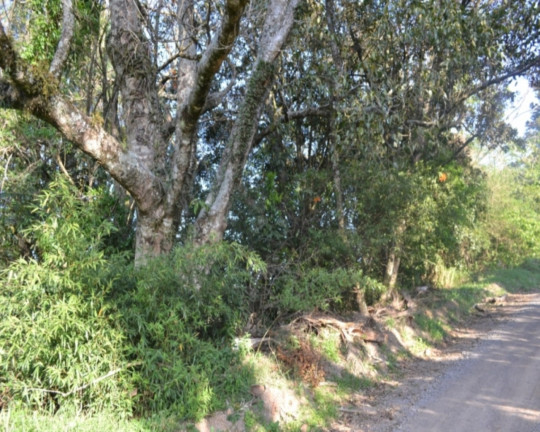 Imagem Imóvel à Venda, 19.025 m² em Pousada Da Neve - Nova Petrópolis Imagem Imóvel à Venda, 19.025 m² em Pousada Da Neve - Nova Petrópolis