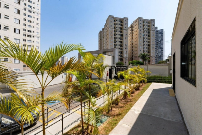 Imagem Apartamento com 2 Quartos à Venda, 43 m² em Parque Reboucas - São Paulo Imagem Apartamento com 2 Quartos à Venda, 43 m² em Parque Reboucas - São Paulo