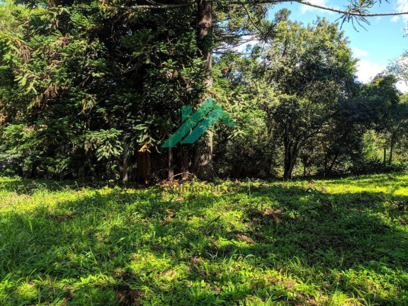 Imagem Terreno à Venda, 1.977 m² em Cachoeira - Curitiba Imagem Terreno à Venda, 1.977 m² em Cachoeira - Curitiba