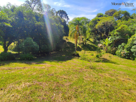 Imagem Imóvel com 2 Quartos à Venda, 7.724 m² em Loteamento Chácara Chantecler - Piraquara Imagem Imóvel com 2 Quartos à Venda, 7.724 m² em Loteamento Chácara Chantecler - Piraquara