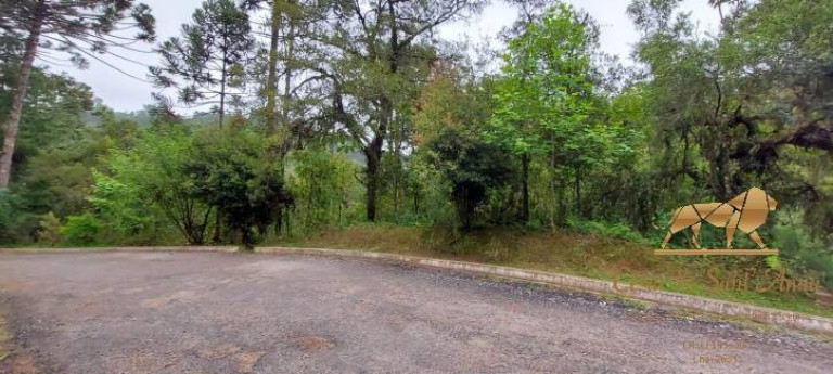Imagem Terreno à Venda, 5.170 m² em Descansópolis - Campos Do Jordão Imagem Terreno à Venda, 5.170 m² em Descansópolis - Campos Do Jordão