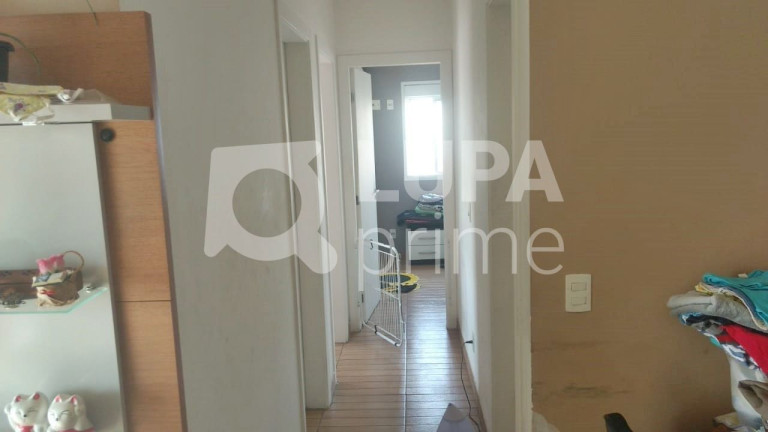 Imagem Apartamento com 3 Quartos à Venda, 70 m² em Vila Maria Alta - São Paulo Imagem Apartamento com 3 Quartos à Venda, 70 m² em Vila Maria Alta - São Paulo