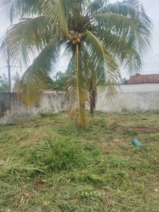 Imagem Terreno à Venda, 600 m² em Centro (iguabinha) - Araruama Imagem Terreno à Venda, 600 m² em Centro (iguabinha) - Araruama