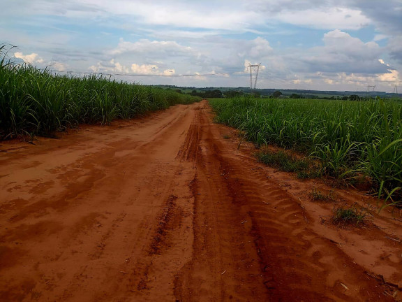 Imagem Fazenda à Venda, 60 m² em Vargem Grande Do Sul Imagem Fazenda à Venda, 60 m² em Vargem Grande Do Sul