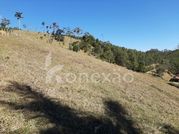 Imagem Chácara com 3 Quartos à Venda, 200 m² em Cedro - Paraibuna Imagem Chácara com 3 Quartos à Venda, 200 m² em Cedro - Paraibuna